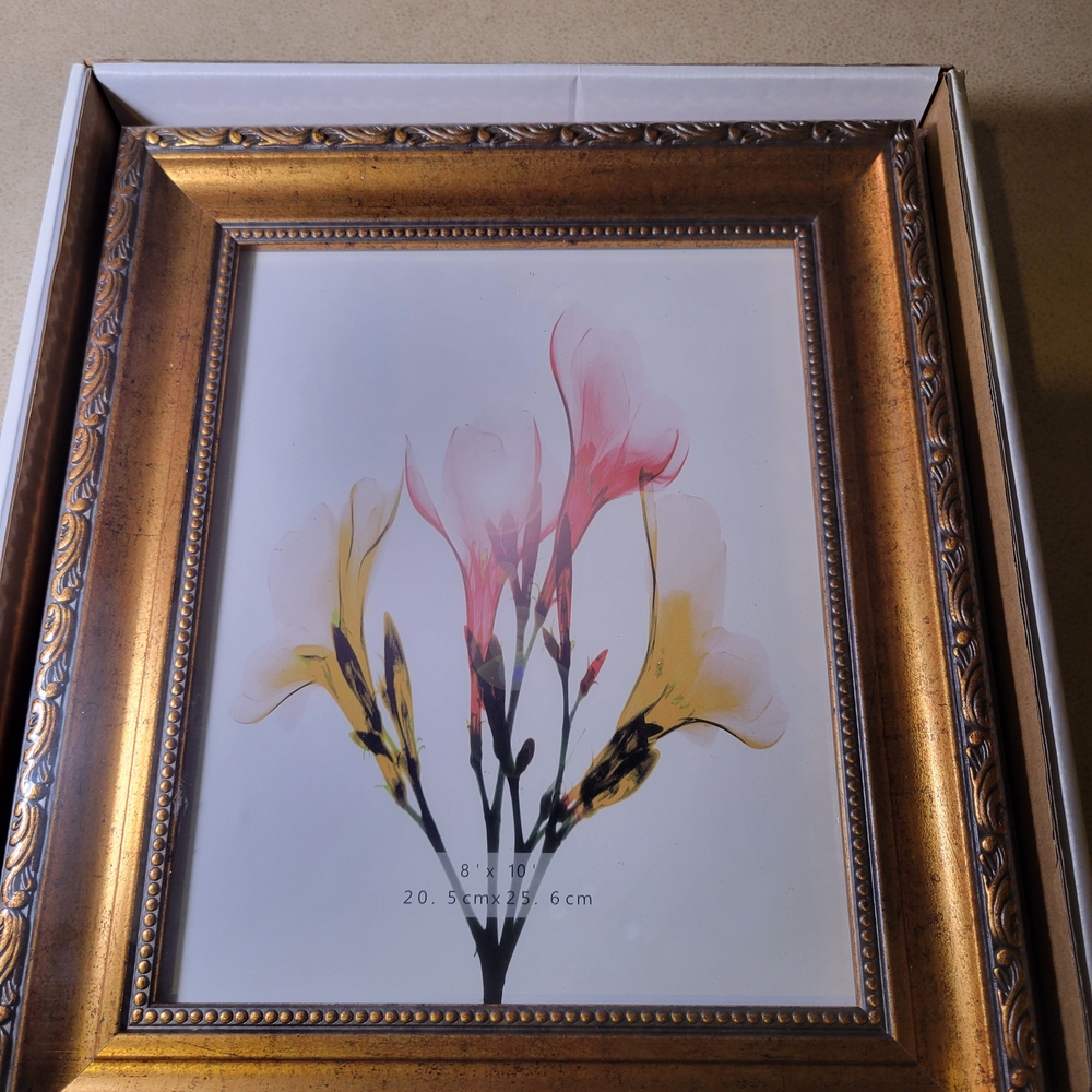 Two Gold Ornate 8 X 10 Picture Frame